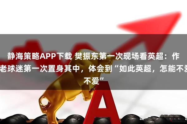 静海策略APP下载 樊振东第一次现场看英超：作为老球迷第一次置身其中，体会到“如此英超，怎能不爱”