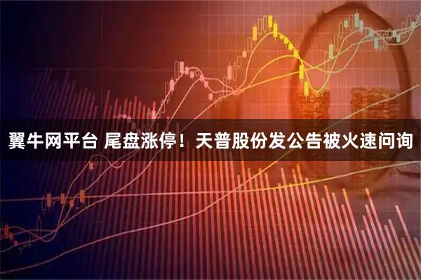 翼牛网平台 尾盘涨停！天普股份发公告被火速问询